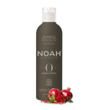 Noah Origins  Šampūnas kasdieniam naudojimui, visų tipų plaukams, 250ml 3