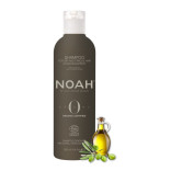 Noah Origins Drėkinamasis šampūnas sausiems plaukams, 250ml 2